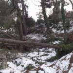 Foto0174-01-01