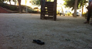 Excrement de gos en una plaça Excrement de gos en una plaça