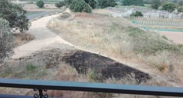 Els veïns alerten de la deixades de la finca i la proximitat amb les cases. Foto: Sílvia Zarxa Els veïns alerten de la deixades de la finca i la proximitat amb les cases. Foto: Sílvia Zarxa
