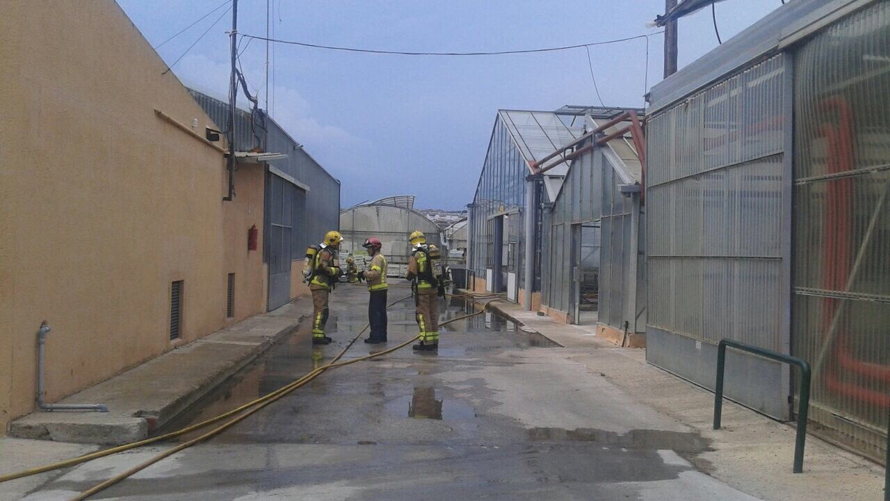 Extingit l'incendi de l'hivernacle del Pla d'en Grau. RP