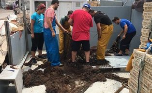 Retiren una xarxa a 40 m de fondària que pesava 500 kg (DARP) Retiren una xarxa a 40 m de fondària que pesava 500 kg (DARP)
