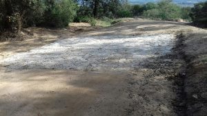 El consistori ha realitzat actuacions de millora en alguns camins del municipi - Ajuntament de PLF