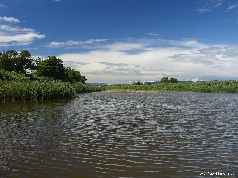 Delta de la Tordera 