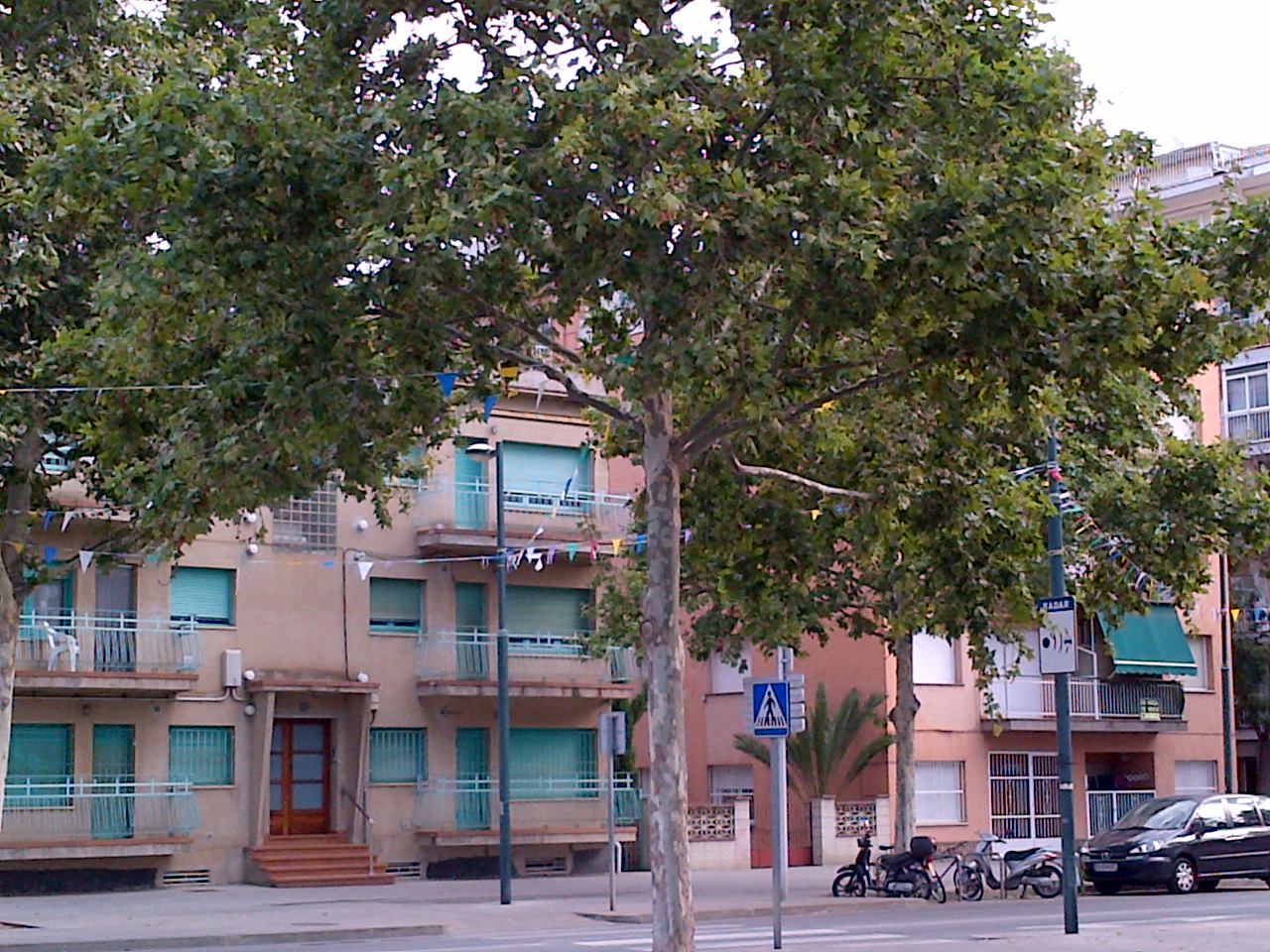 Avd Costa Brava de Malgrat on s'ha detectat el xinxa. Foto: A. Serrano