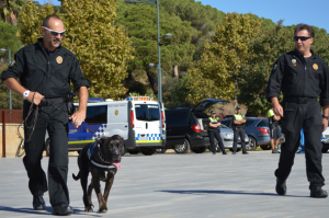 Unitat Canina de la Policia Local de Malgrat