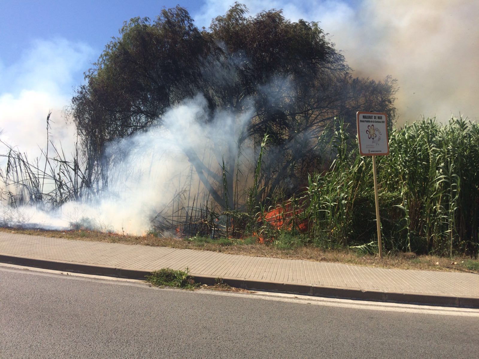 Un dels incendis de Sant Lluís aquest estiu. Font: Ràdio Palafolls