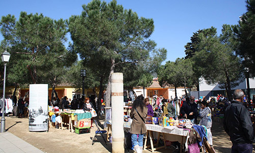 Tot Canvi. El Cafè de PLF