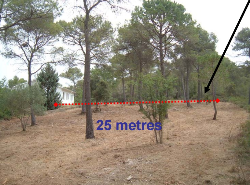 Zona perimetral de 25 metres. Generalitat de Catalunya