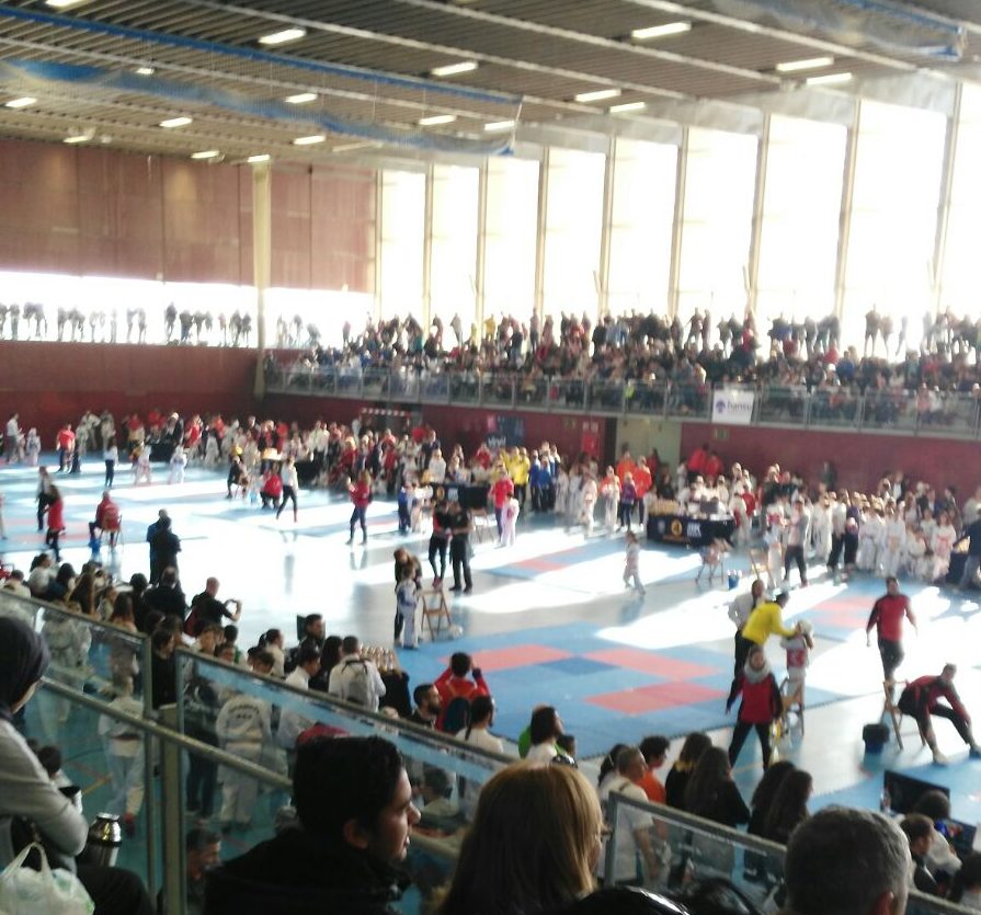 Campionat infantil de Taekwondo. Júlia Martínez