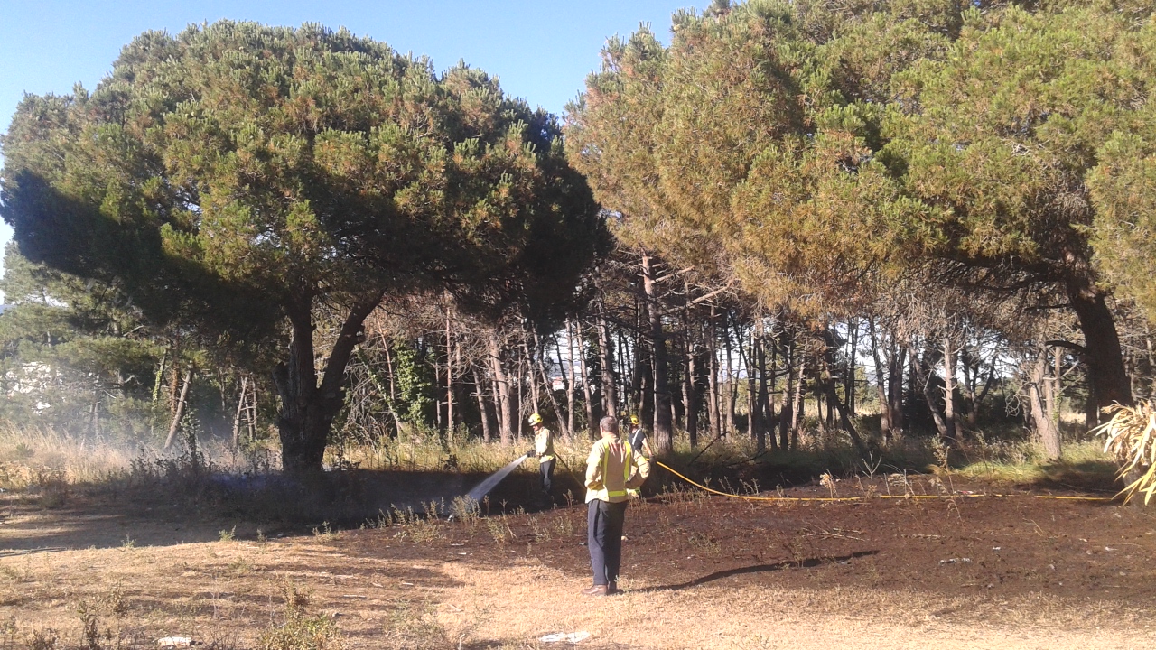 S'incendien uns matolls en una finca abandonada de St Lluís. RP