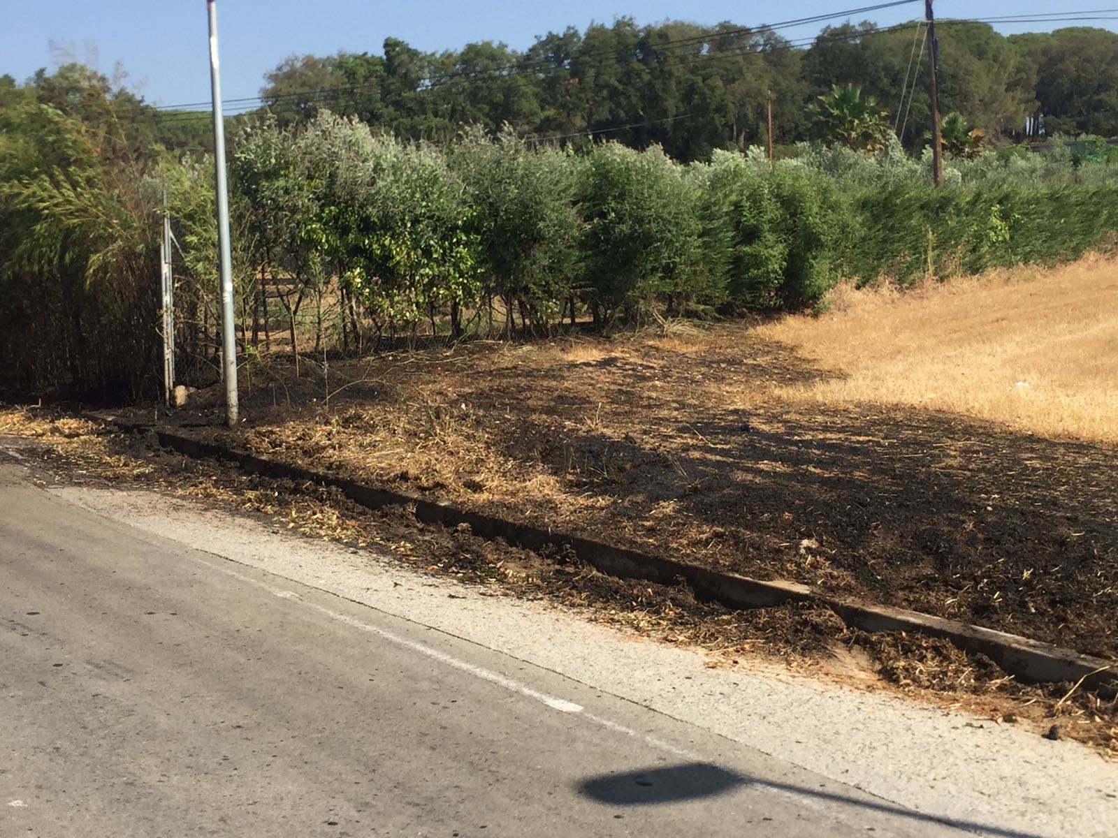 Petit foc en un marge de Sant Genís. RP
