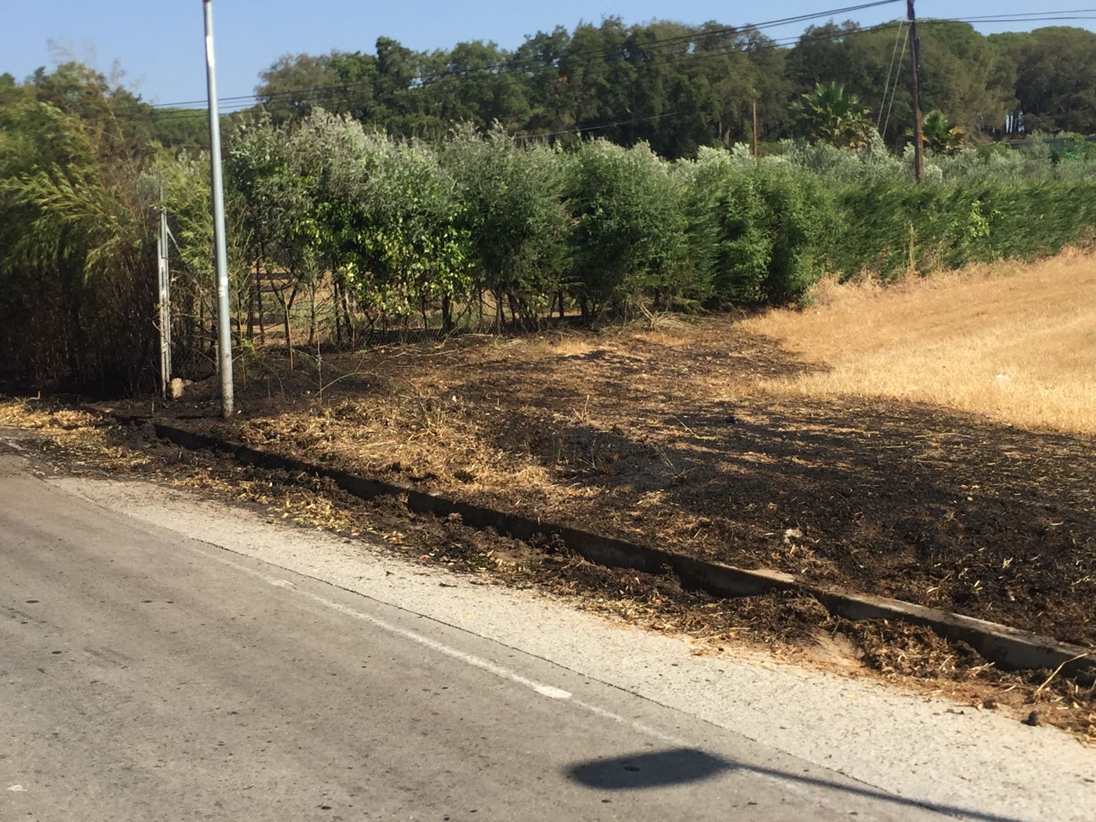 Petit foc en un marge de Sant Genís. RP