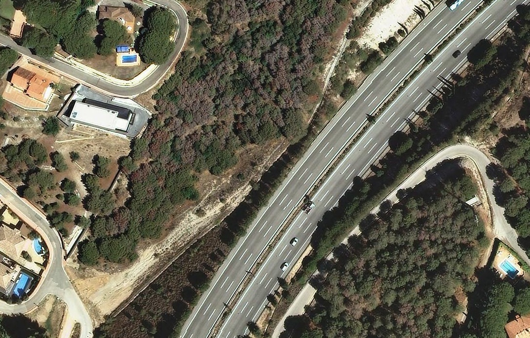 Pins morts al costat de la C-32 (Federació ADF Maresme)